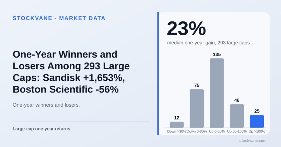 Bar chart of large-cap stocks by one-year price change